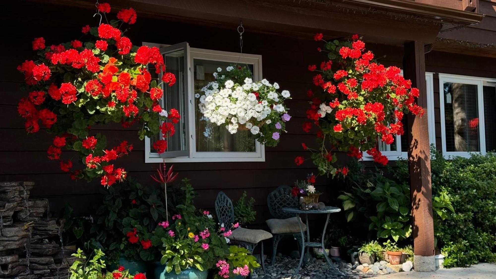 Vila Garden Bridge House Sechelt Exteriér fotografie