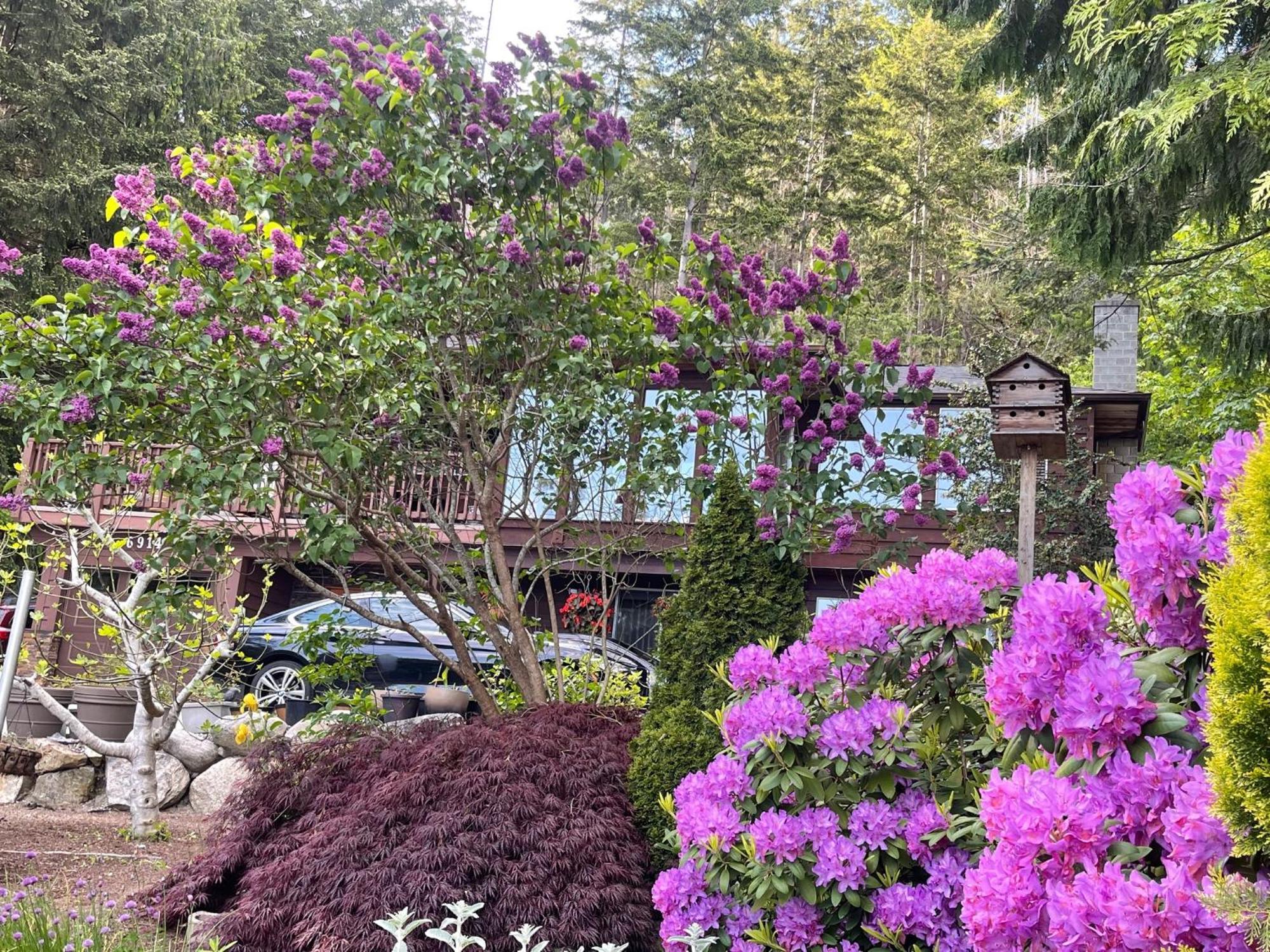 Vila Garden Bridge House Sechelt Exteriér fotografie